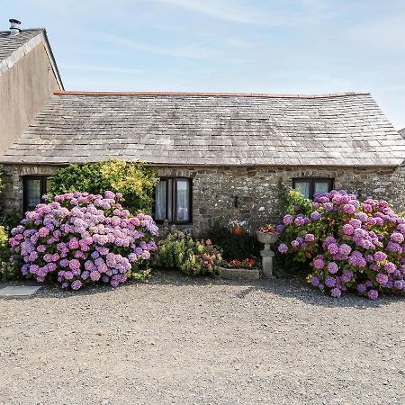 Coach House Cottage バッド エクステリア 写真
